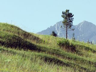 Bayerns Naturdenkmäler