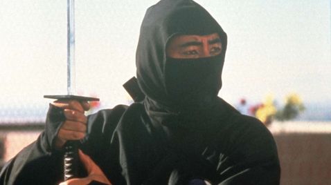 Die Rückkehr der Ninja