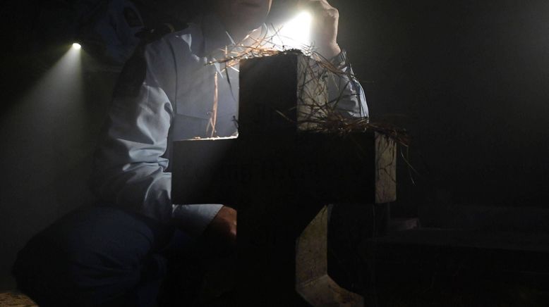 Wellington Paranormal