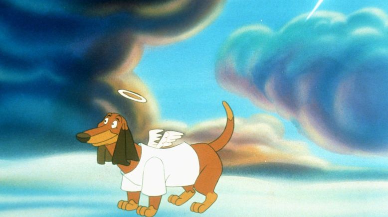 Charly, anche i cani vanno in Paradiso
